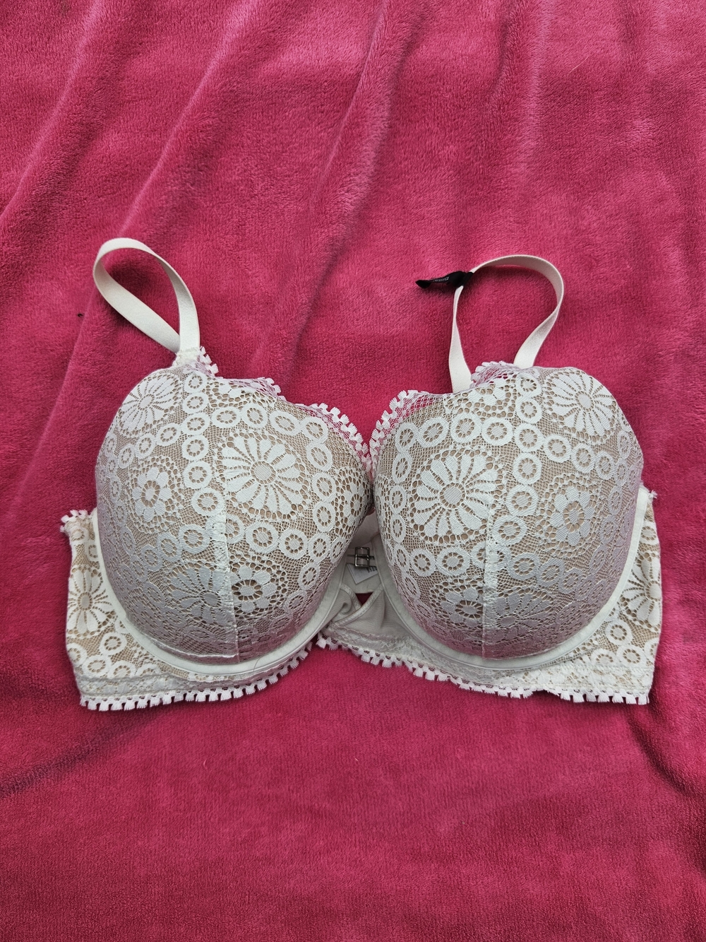 40dd Cream Lace Underwire Bra - Women Intimates